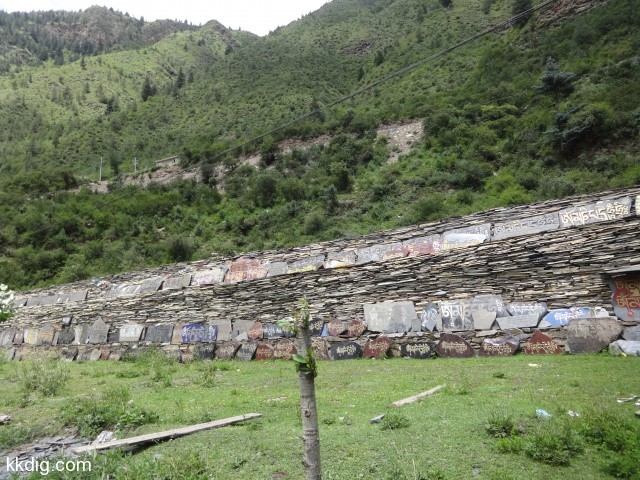 DSC01841