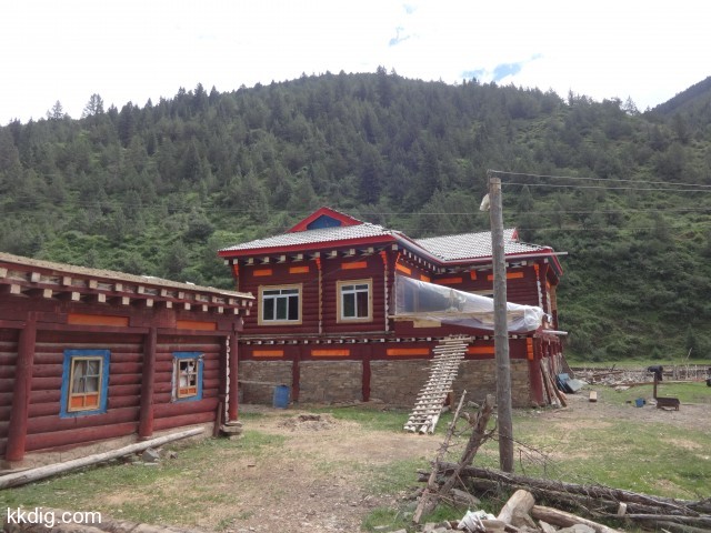 DSC01981