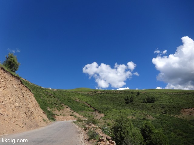 DSC01998