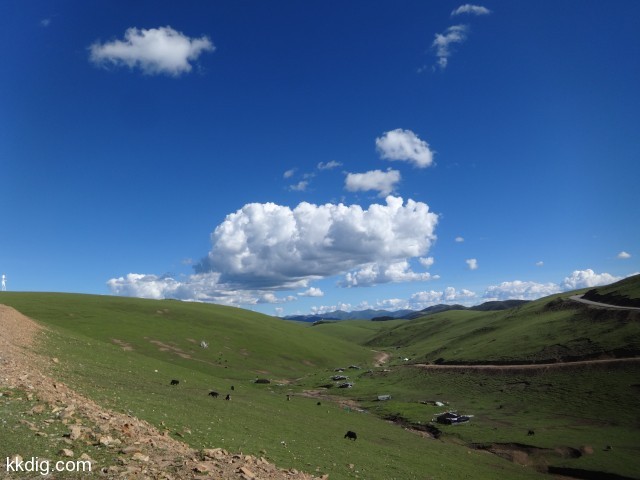 DSC02009