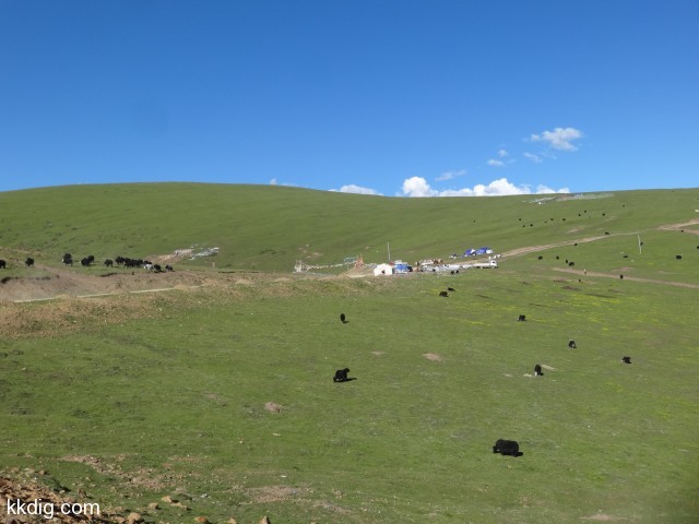 DSC02015