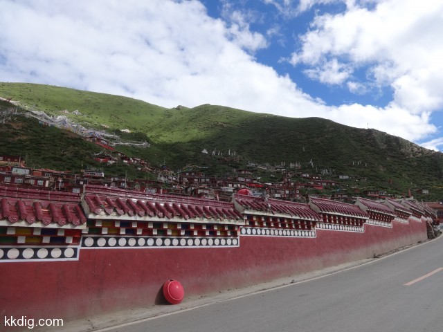 DSC02080