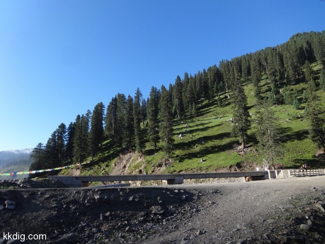 DSC02142