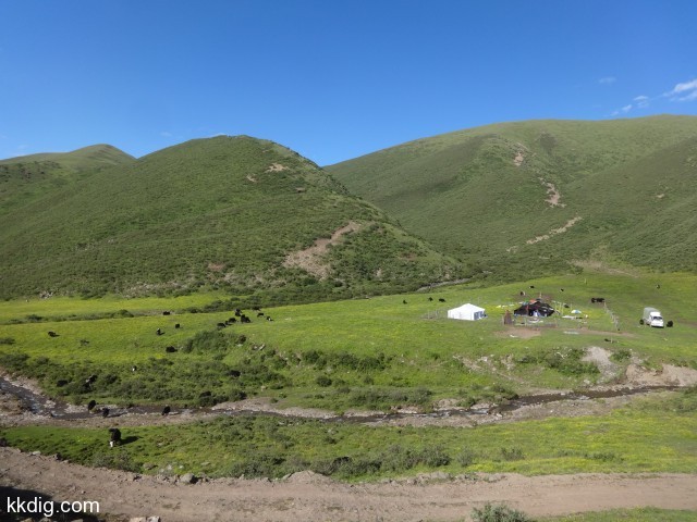 DSC02199