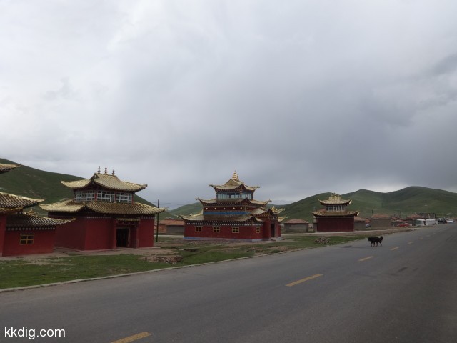 DSC02454