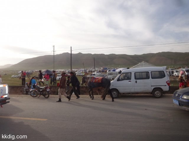 DSC02867