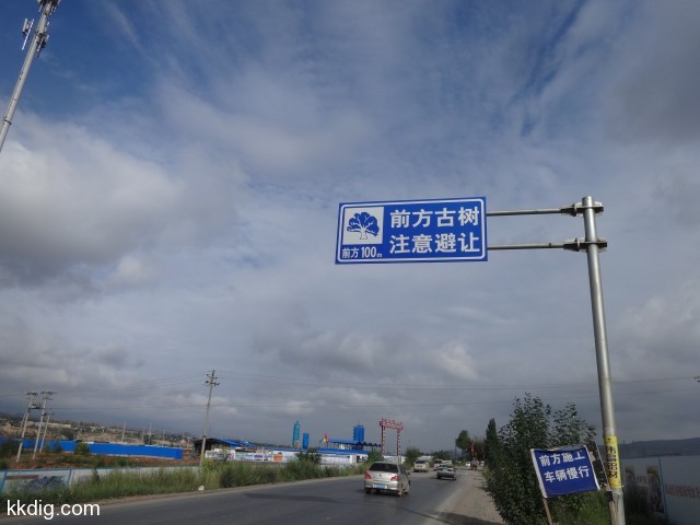 DSC02941