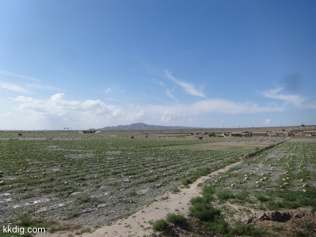 DSC03159