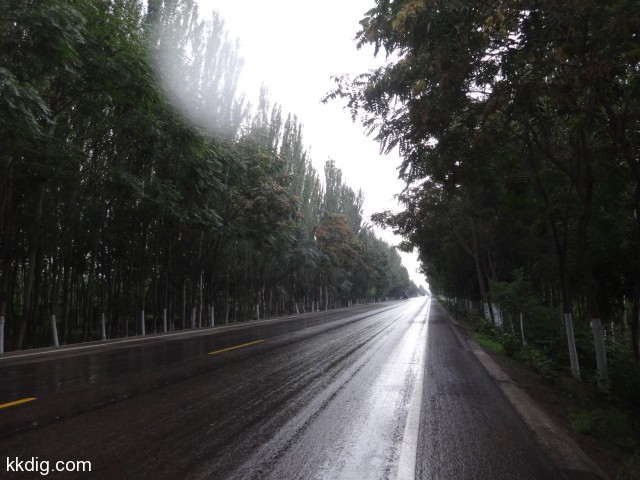 DSC03229