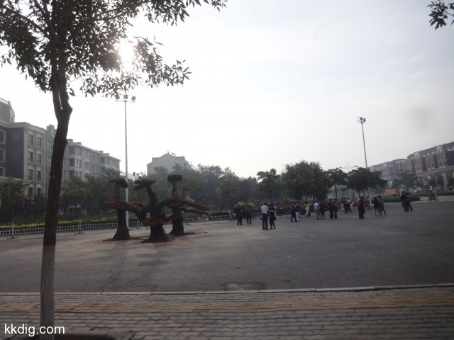 DSC03300