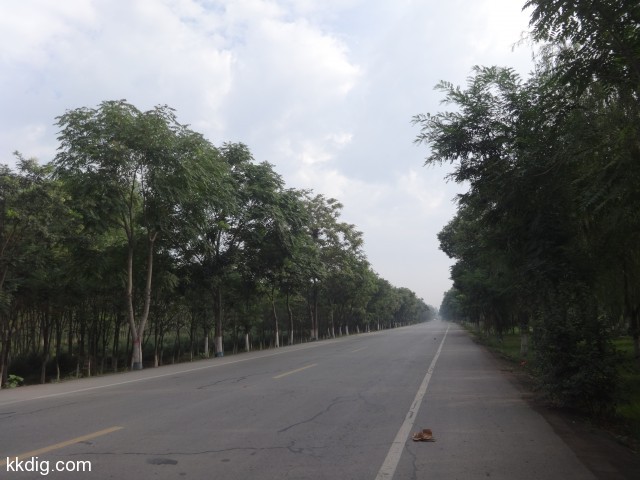 DSC03303