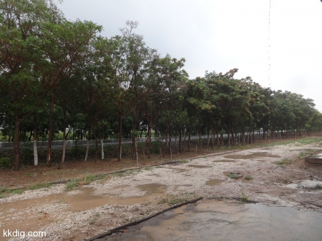 DSC03341