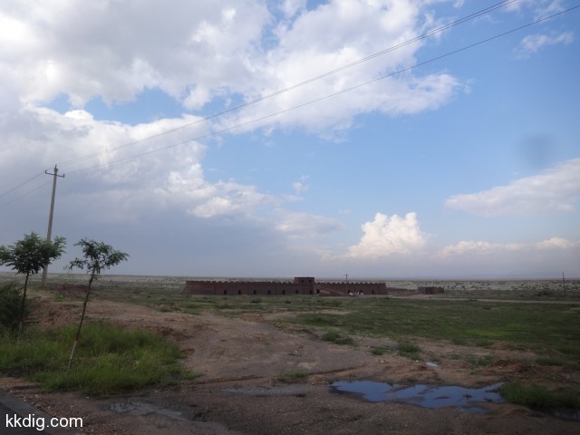 DSC03382