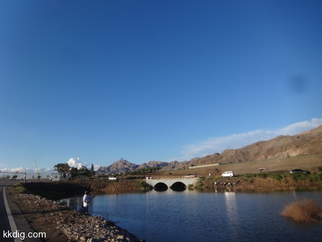 DSC03428