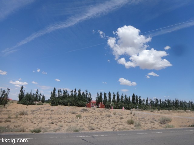 DSC03486