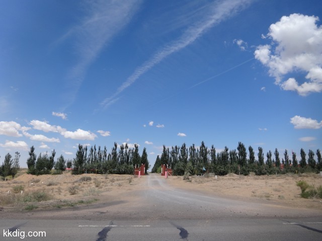 DSC03487