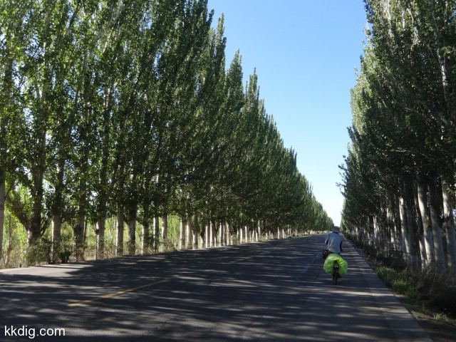 DSC03514