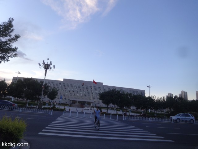 DSC03555