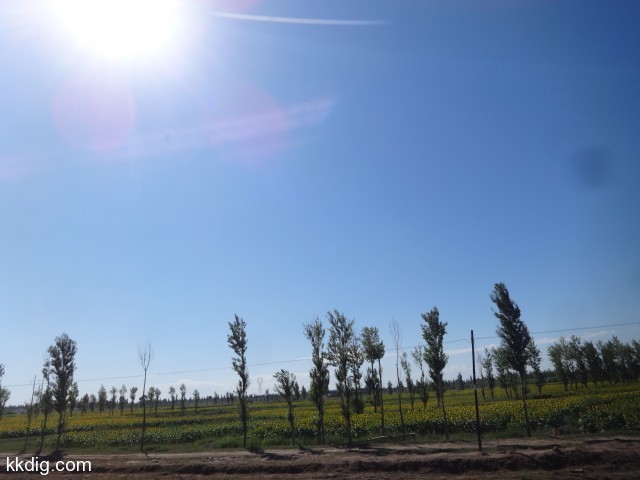 DSC03594