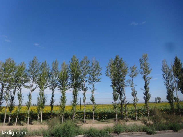 DSC03600