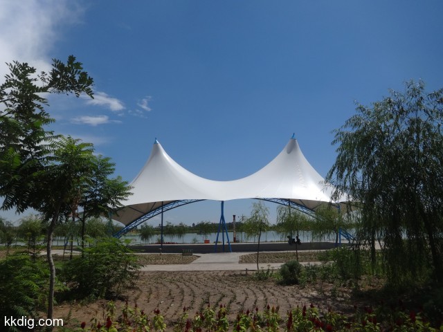 DSC03615
