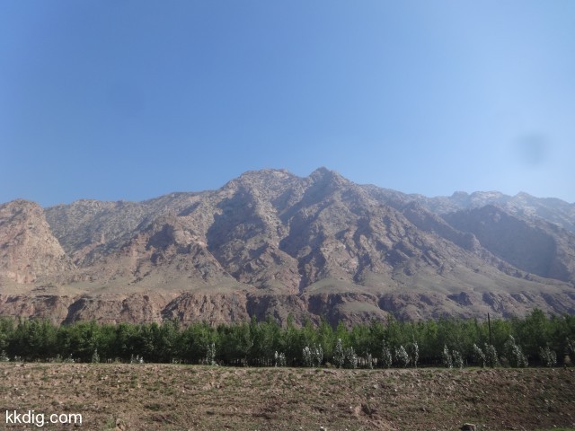 DSC03703