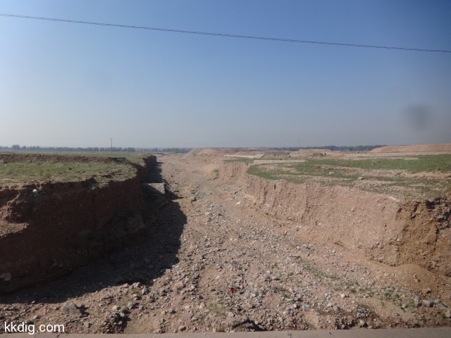 DSC03704