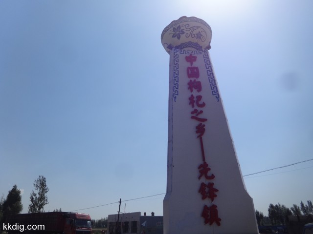DSC03713